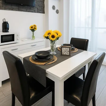 Apartment Brisa Marina Ocean View